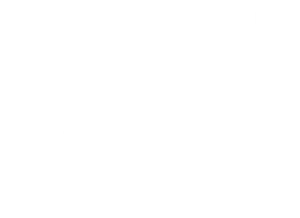 Twisted Lens Logo